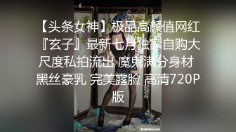 大象傳媒 DS001 情欲絲襪巨乳的誘惑 林可菲