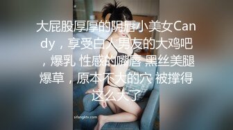 【OnlyFans】极品巨乳肥臀亚裔 NamiGoneWild合集 27