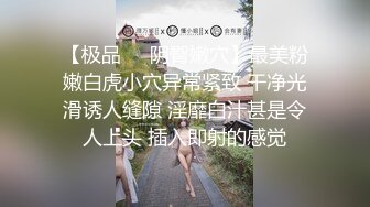 【解说】此乃葵非彼奶葵