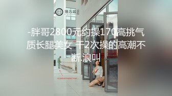 情趣小母狗