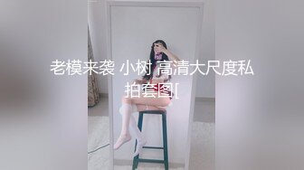 巨乳反差家庭教师的特殊授业（上集）