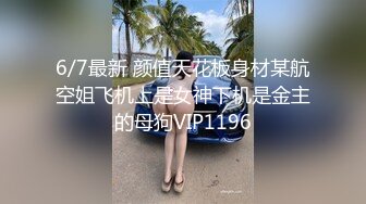 6/7最新 颜值天花板身材某航空姐飞机上是女神下机是金主的母狗VIP1196