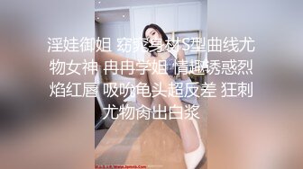 [德国] 再战女仆装少妇 （开头手势认证）