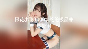 探花小飞3000块约的极品兼职外围