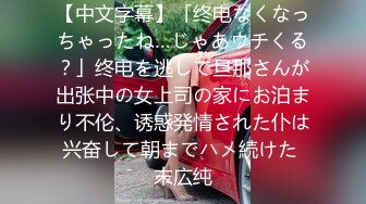 【中文字幕】「终电なくなっちゃったね…じゃあウチくる？」终电を逃して旦那さんが出张中の女上司の家にお泊まり不伦、诱惑発情された仆は兴奋して朝までハメ続けた 末広纯