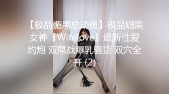 后入肥妻2