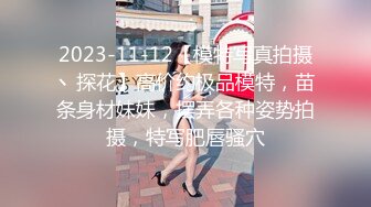 12/29最新 大波小蛮腰大屁股华裔大学生美女与洋男友各种啪VIP1196