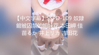 【中文字幕】SSPD-109 奴隸館被囚禁的姐妹花 本田岬 佳苗るか 井上リカ 吉田花