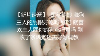 愛豆傳媒 ID5228 實習女仆為了通過考核用身體滿足顧客 張琪琪