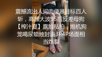 长腿嫩穴 极品美妇