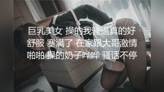 【顶级网红推女郎】超影像顶流极品网红『艾栗栗』最新火爆私拍 男友视角跪舔 插肛喷水 自虐口爱篇 (6)