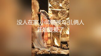 STP28949 麻豆传媒 绝对领域 LY004 按摩师的职业素养