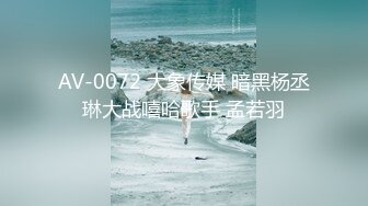 AV-0072 大象传媒 暗黑杨丞琳大战嘻哈歌手 孟若羽