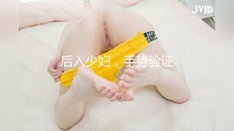 后入少妇，手势验证