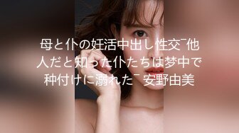 母と仆の妊活中出し性交―他人だと知った仆たちは梦中で种付けに溺れた― 安野由美