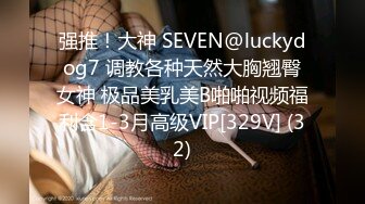 强推！大神 SEVEN@luckydog7 调教各种天然大胸翘臀女神 极品美乳美B啪啪视频福利含1-3月高级VIP[329V] (32)