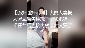 大神潜入商场女厕 偷拍极品少妇的小嫩鲍